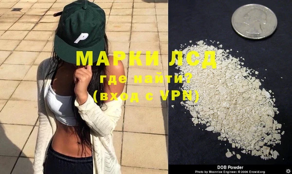 ПСИЛОЦИБИНОВЫЕ ГРИБЫ Арсеньев