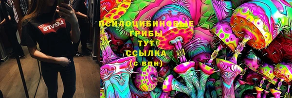 ПСИЛОЦИБИНОВЫЕ ГРИБЫ Арсеньев
