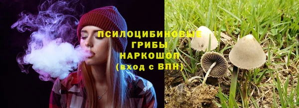 твердый Армянск