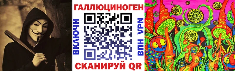 mega tor  Туринск  Галлюциногенные грибы Psilocybe 